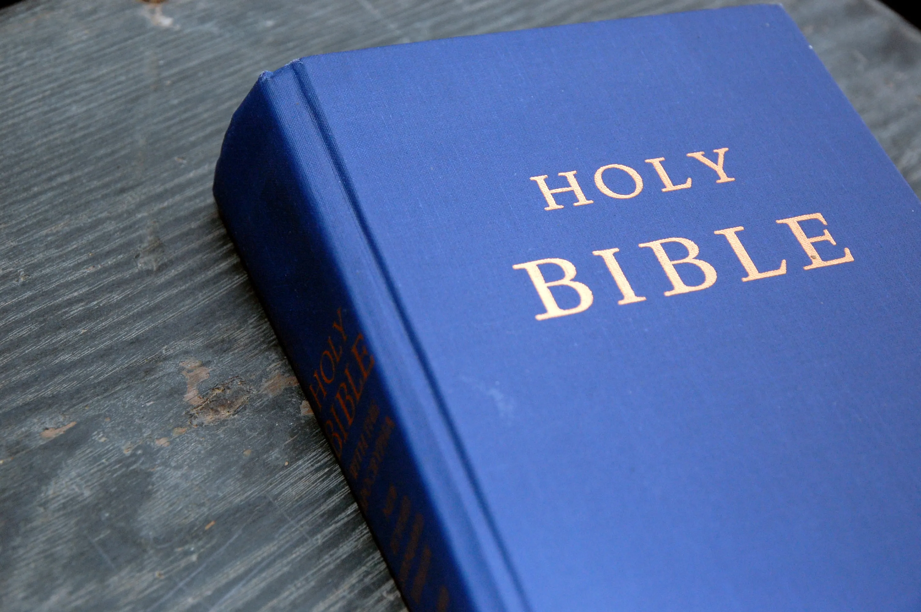 Holy Bible (Blue)